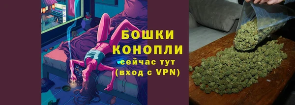 сатива Пенза
