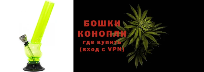сатива Пенза