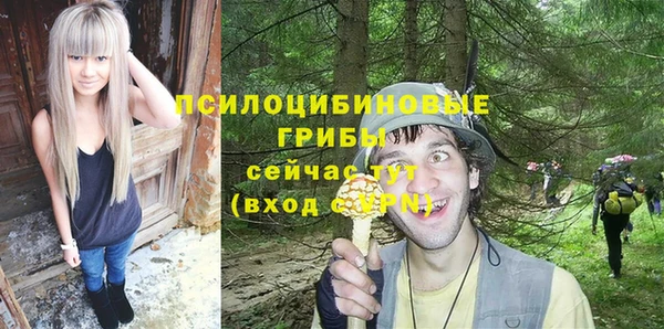 сатива Пенза
