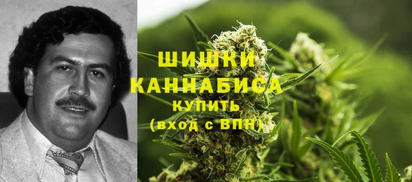 сатива Пенза