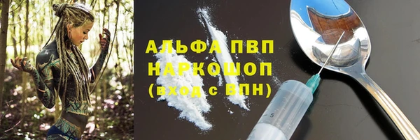 сатива Пенза