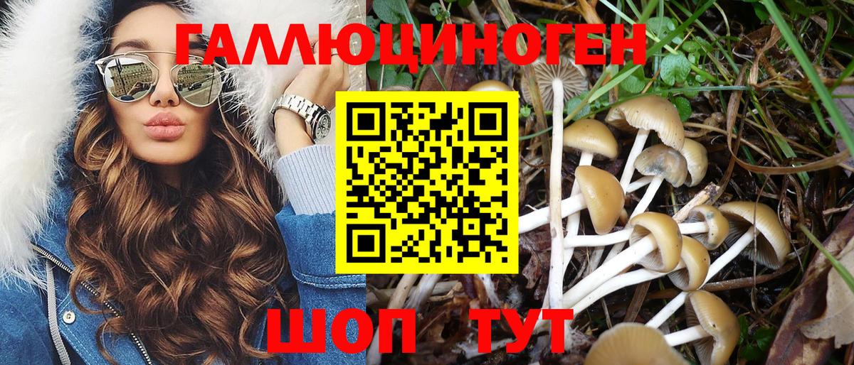 Галлюциногенные грибы мицелий  Барабинск 