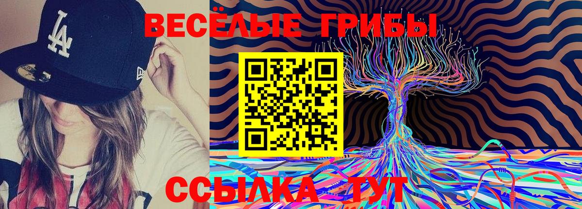 Псилоцибиновые грибы Psilocybe Барабинск