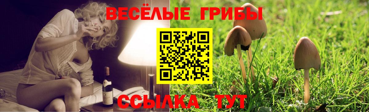 Барабинск  Псилоцибиновые грибы Magic Shrooms  Вход с VPN 